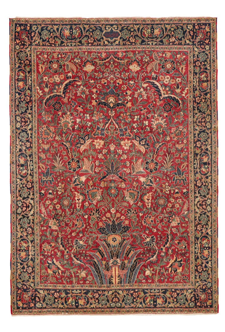 Parrotia 6'8" x 4'9"