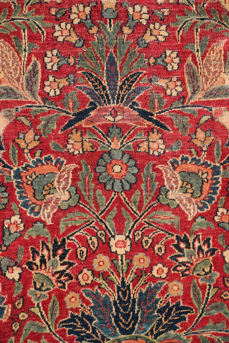 Parrotia 6'8" x 4'9"