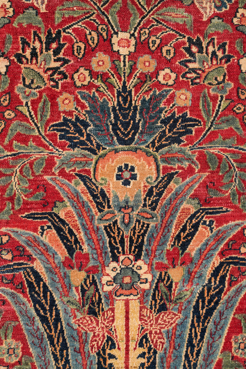 Parrotia 6'8" x 4'9"