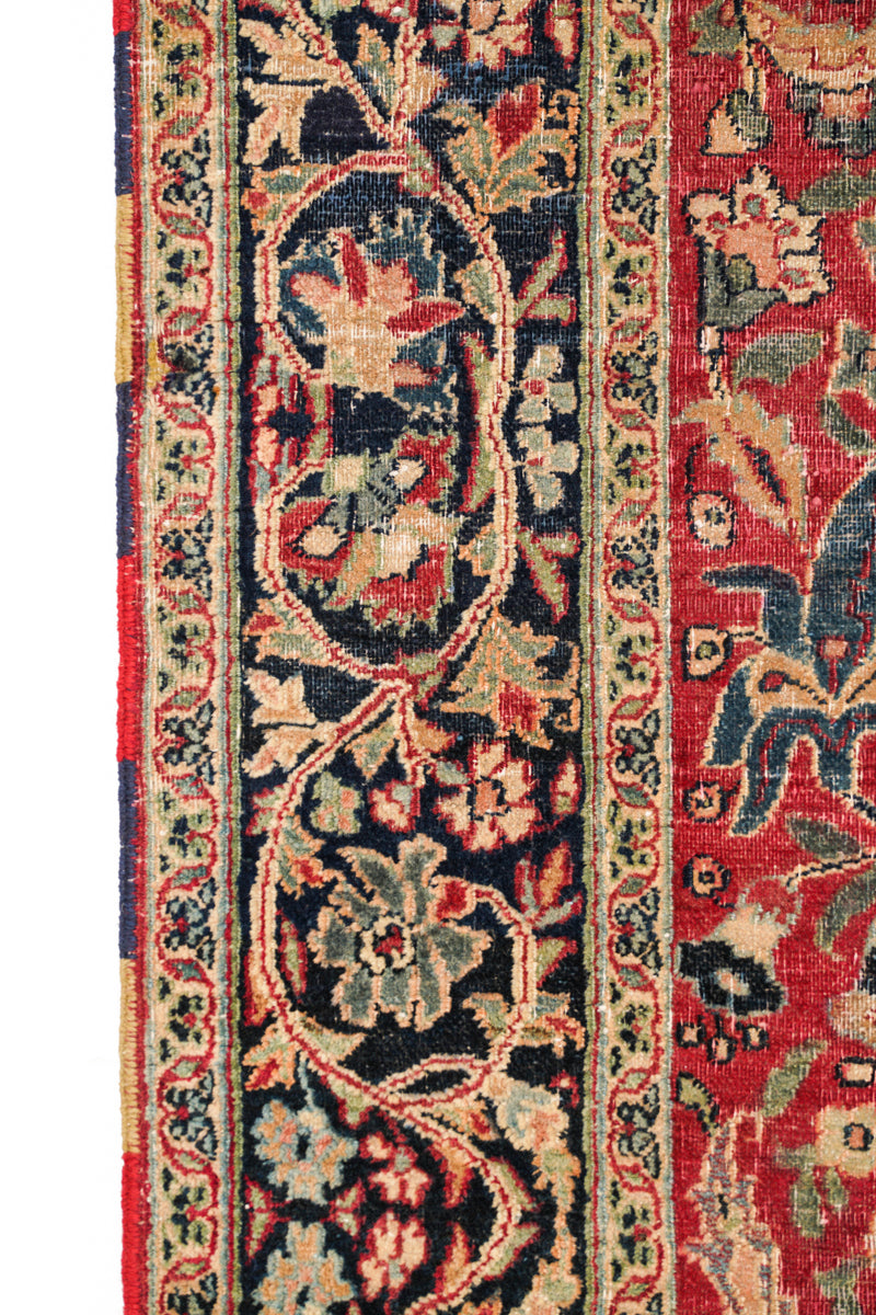 Parrotia 6'8" x 4'9"