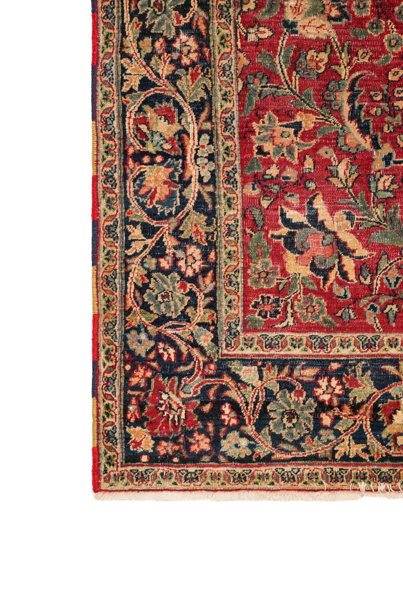 Parrotia 6'8" x 4'9"