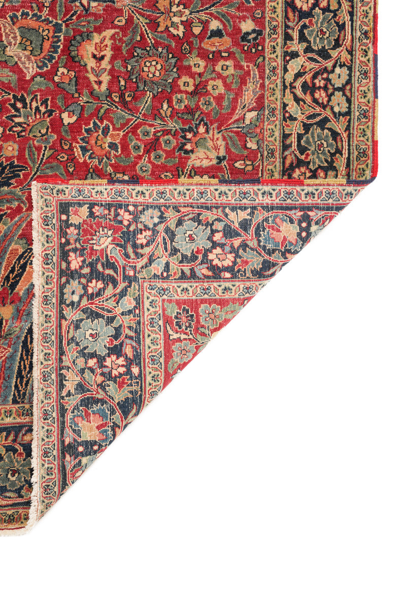 Parrotia 6'8" x 4'9"