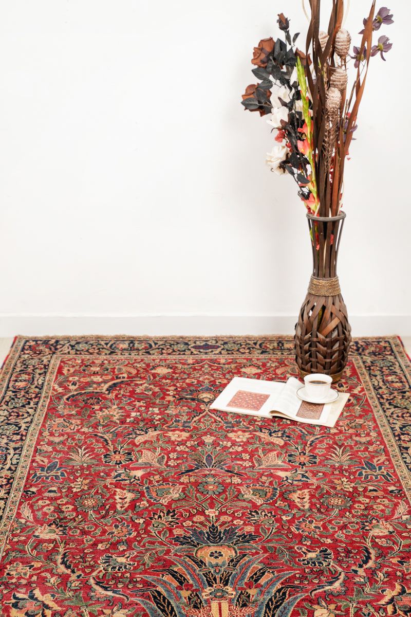 Parrotia 6'8" x 4'9"