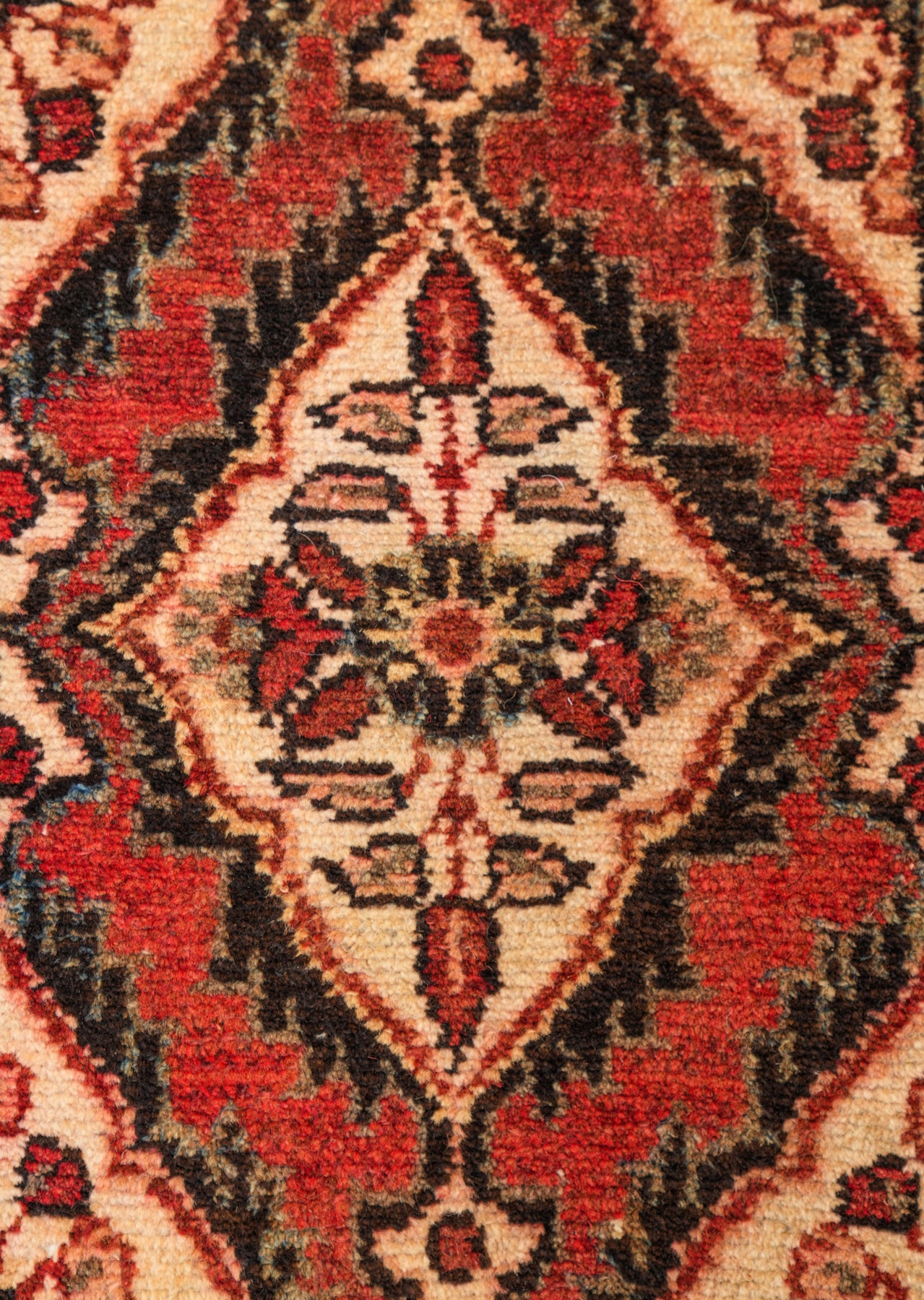 Perry 2'10" x 1'5"