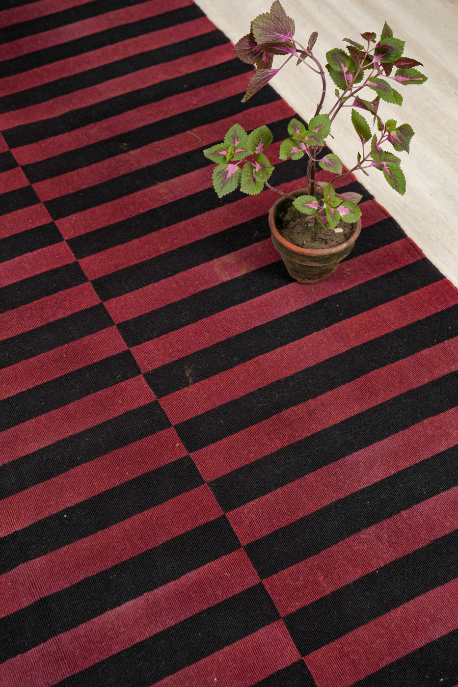 Vintage Afghan Contemporary Kilim 7'6" x 5'6"