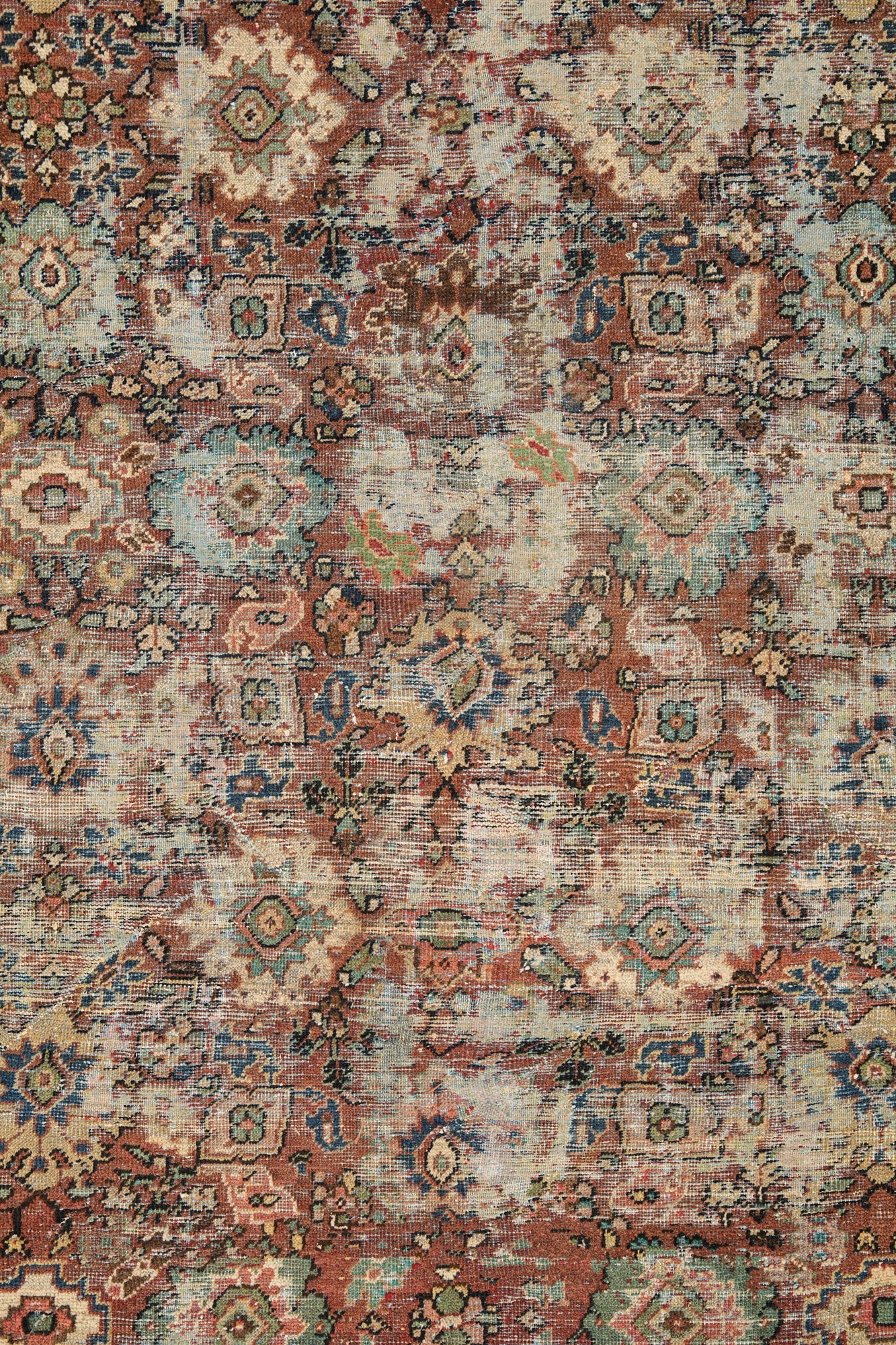 neena 12'5" x 8'10"