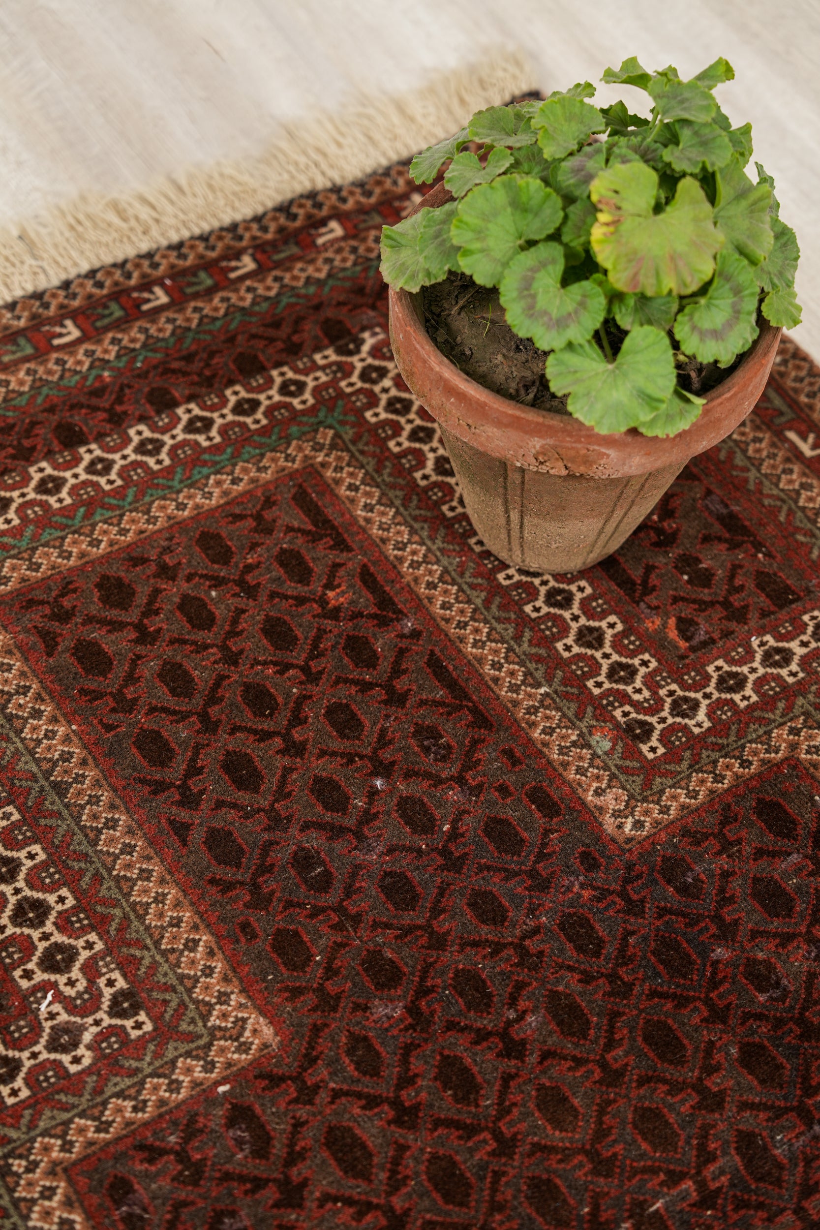 Antique Baloch Prayer Rug 4'10" x 3'1"