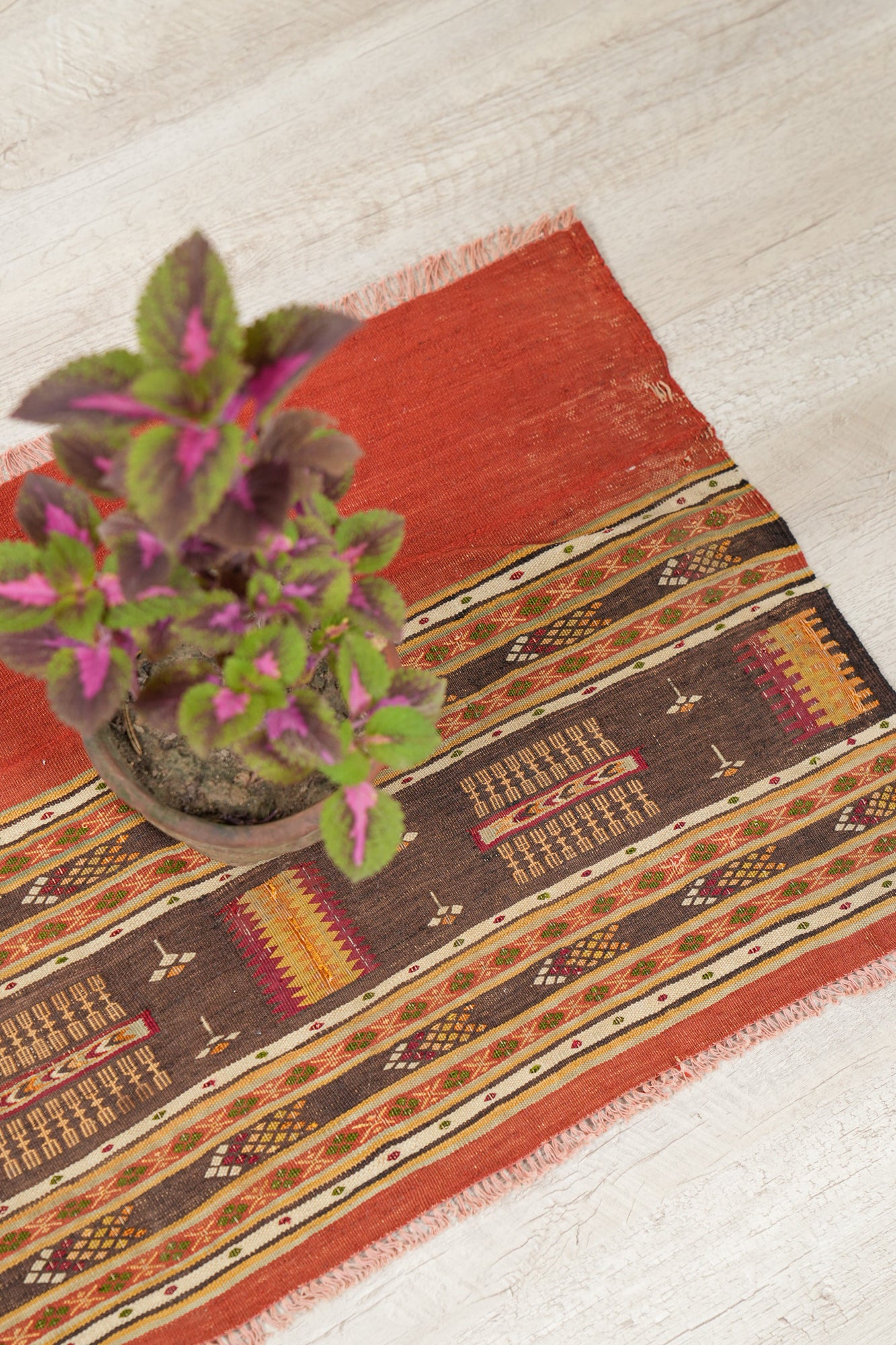Vintage Algerian kilim 2'2" x 1'7"