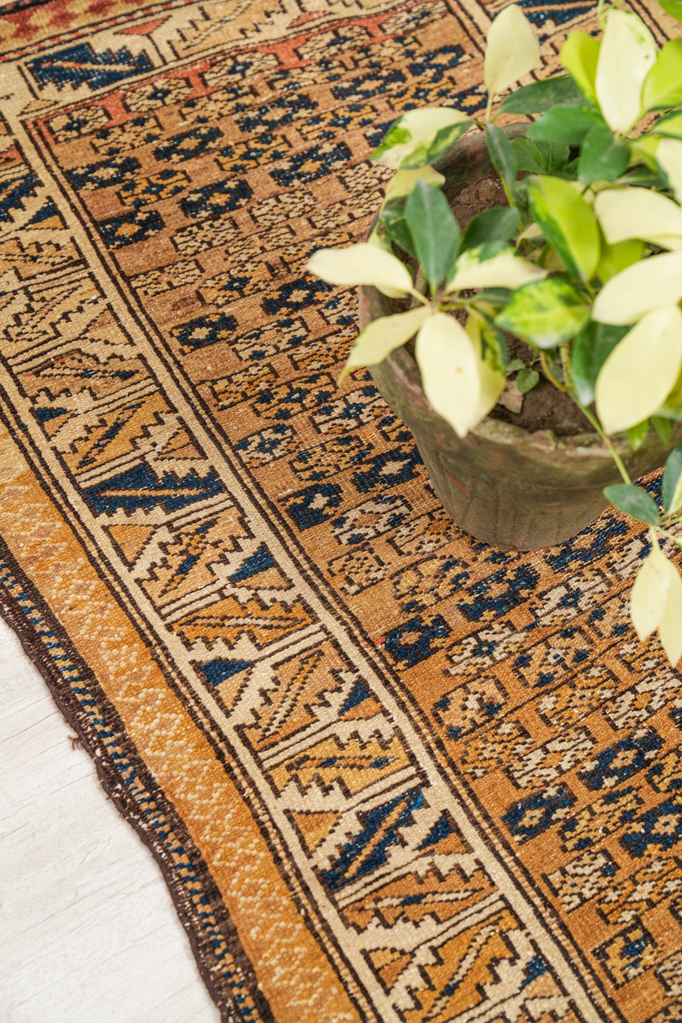 Antique Caucasian Shrivan Rug 4' x 2'7"