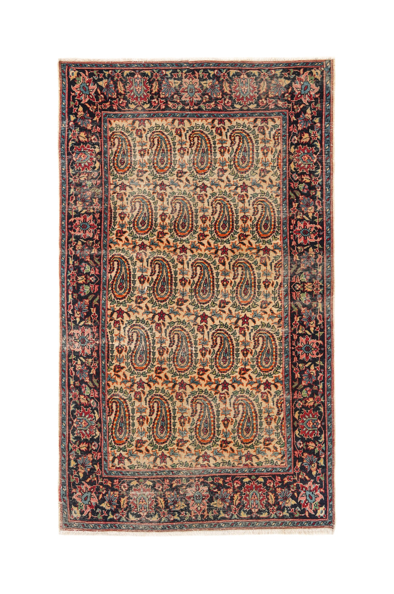 STELLA 5'1" x 3"