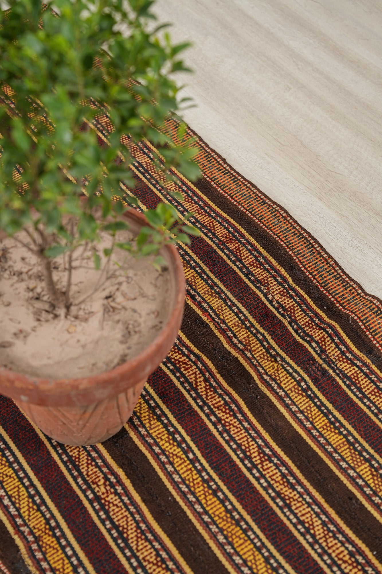 Antique Turkmen Jajim Kilim 6'7" x 2'7"