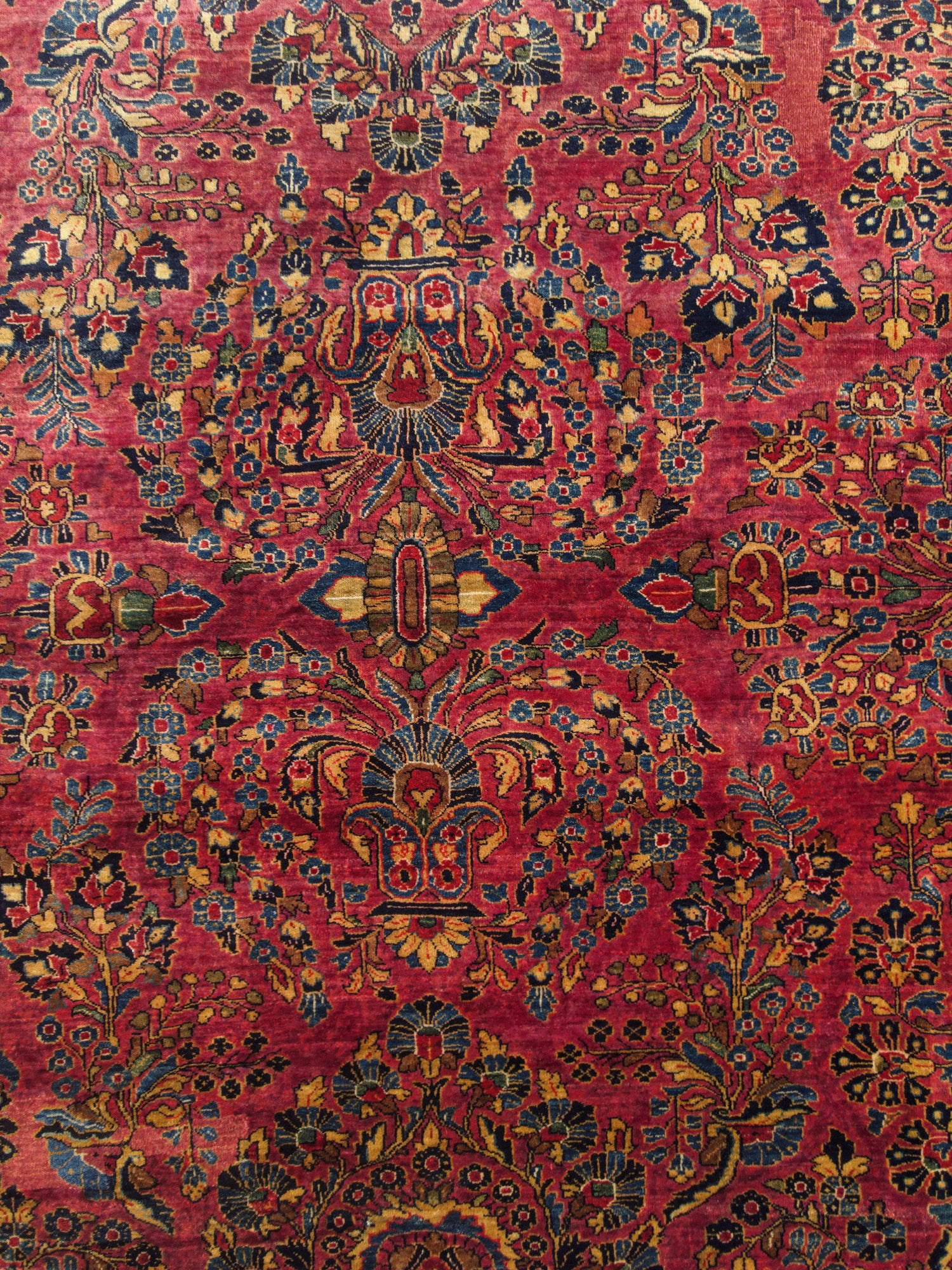 Mylah 17'7" x 10'2"