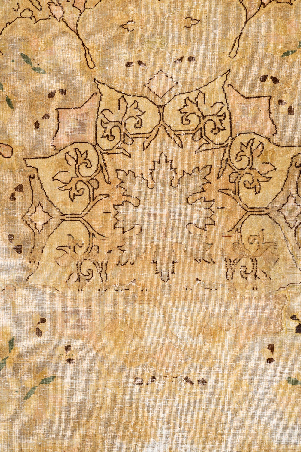 Pallida 11'10" x 9'
