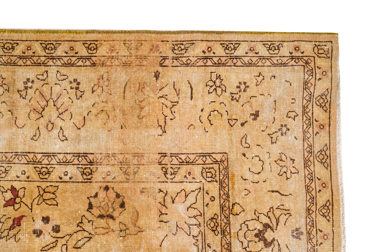 Pallida 11'10" x 9'