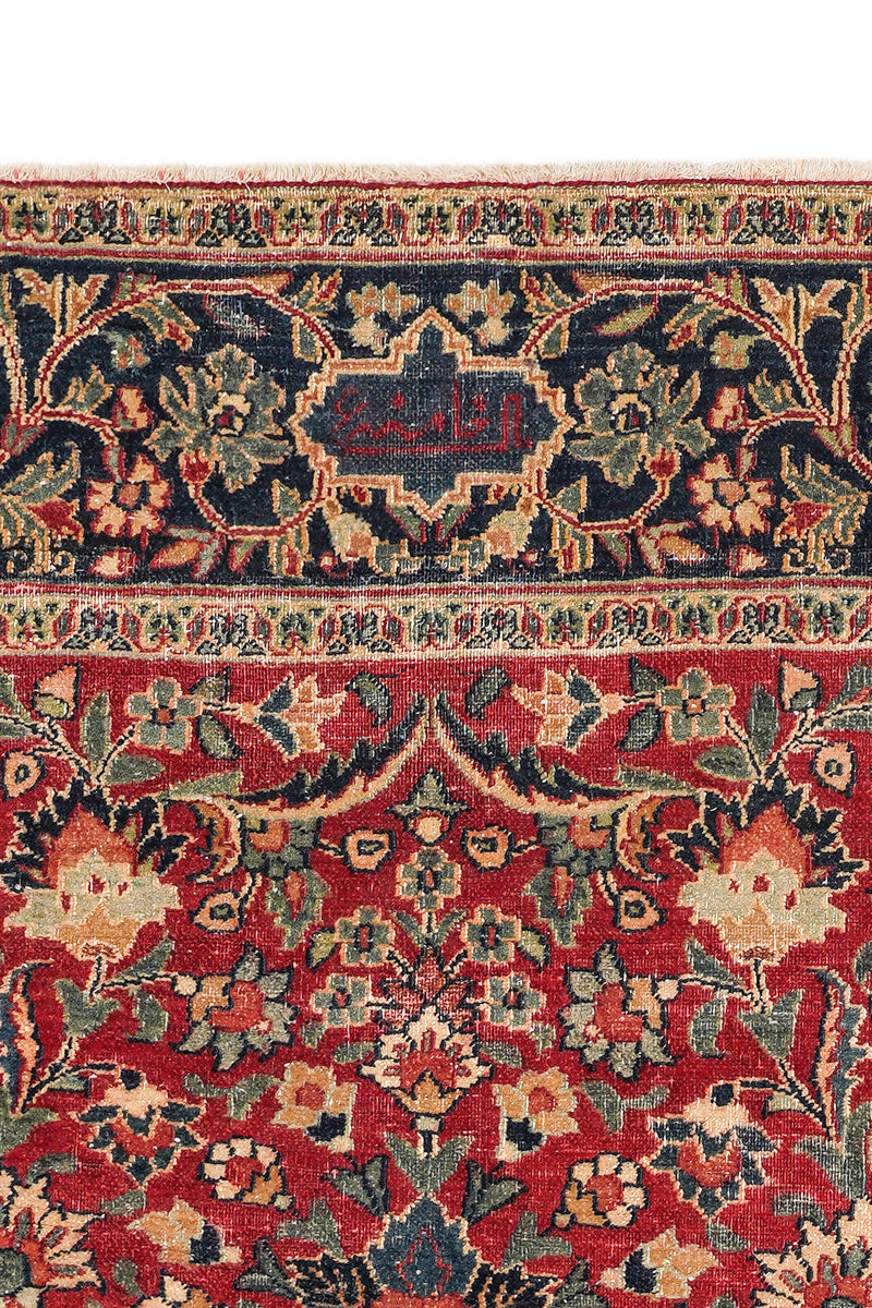 Parrotia 6'8" x 4'9"