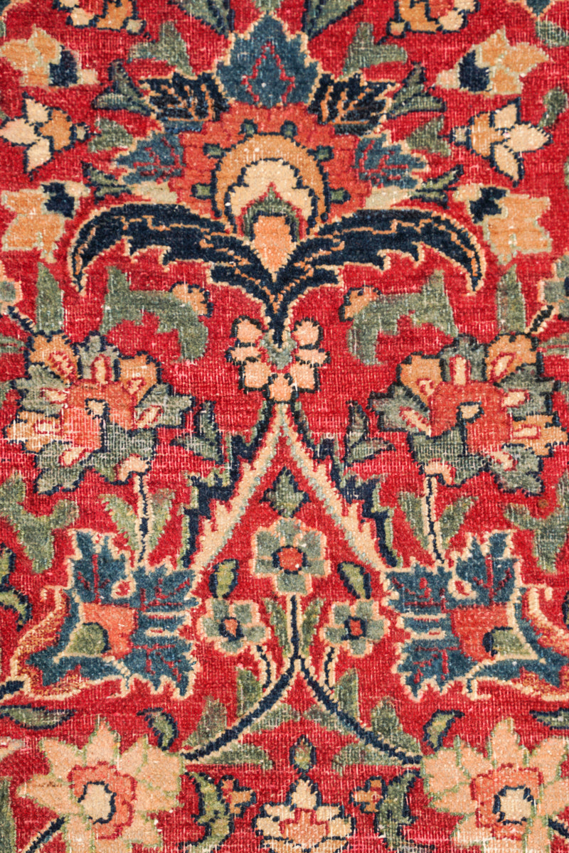 Parrotia 6'8" x 4'9"