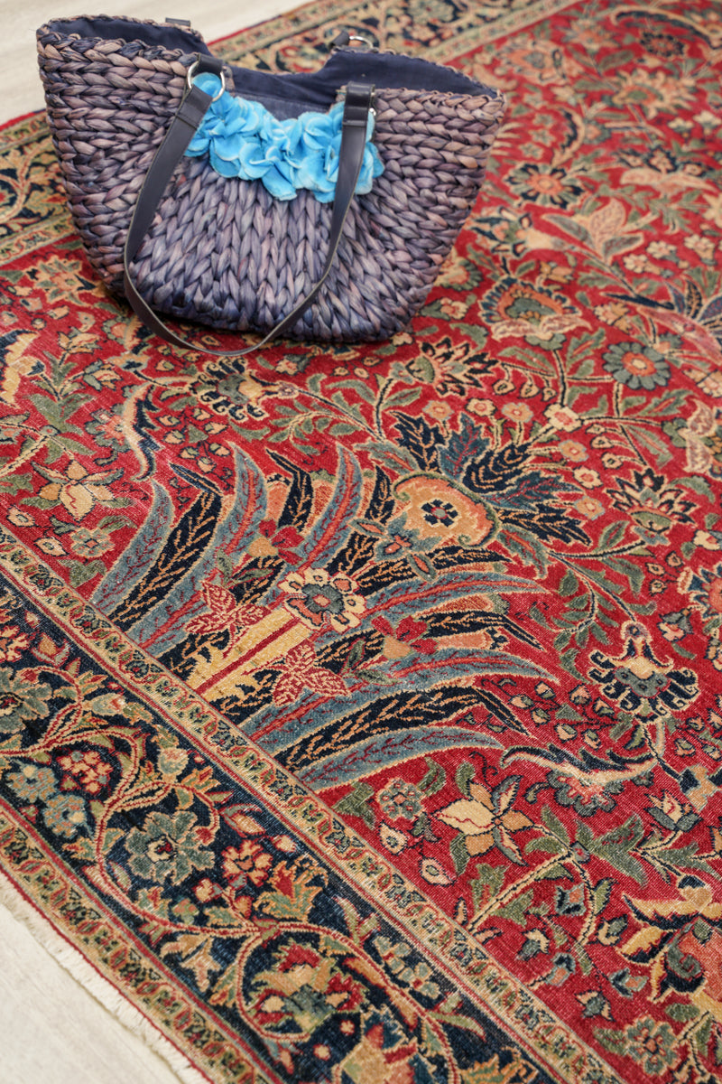 Parrotia 6'8" x 4'9"