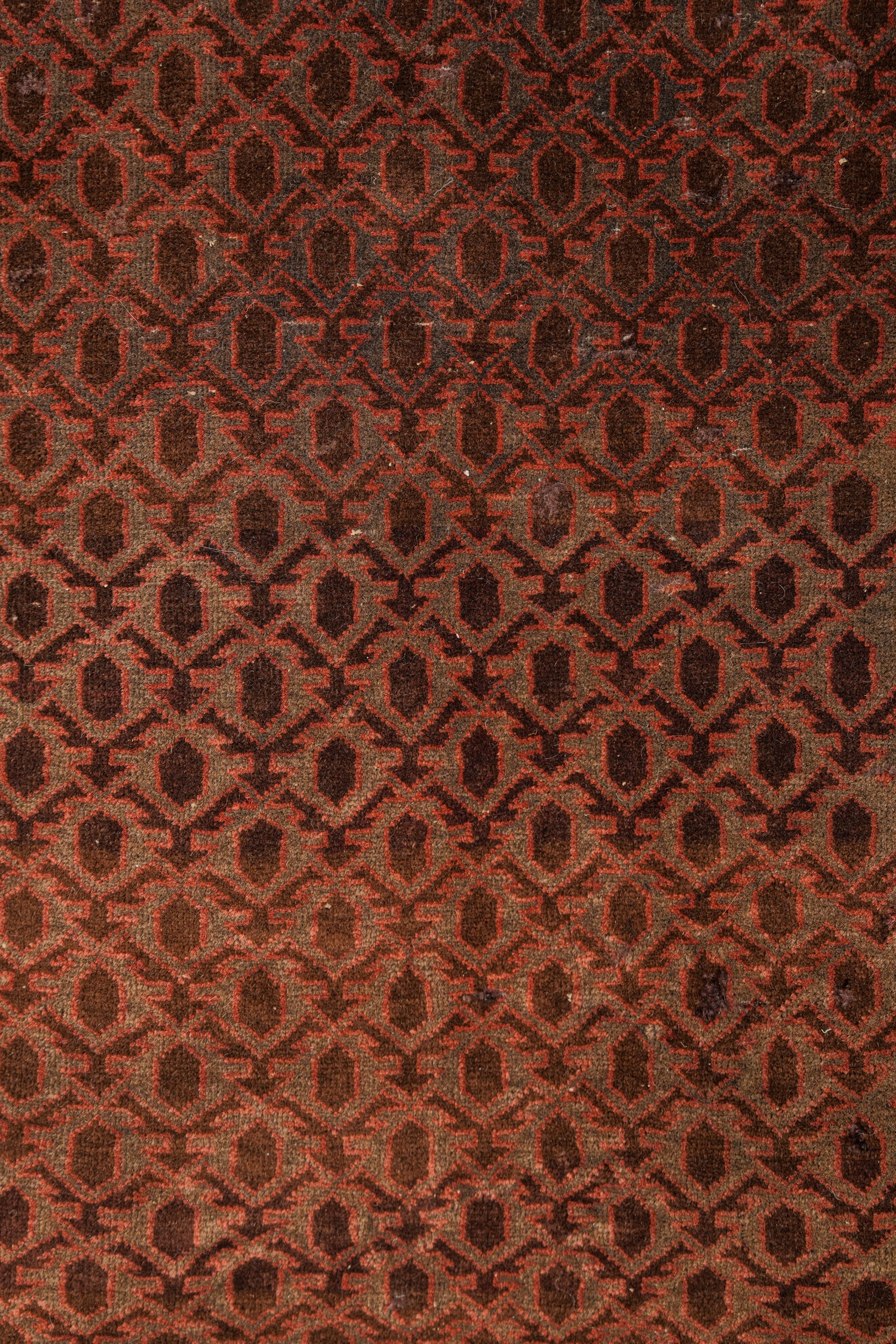 Antique Baloch Prayer Rug 4'10" x 3'1"