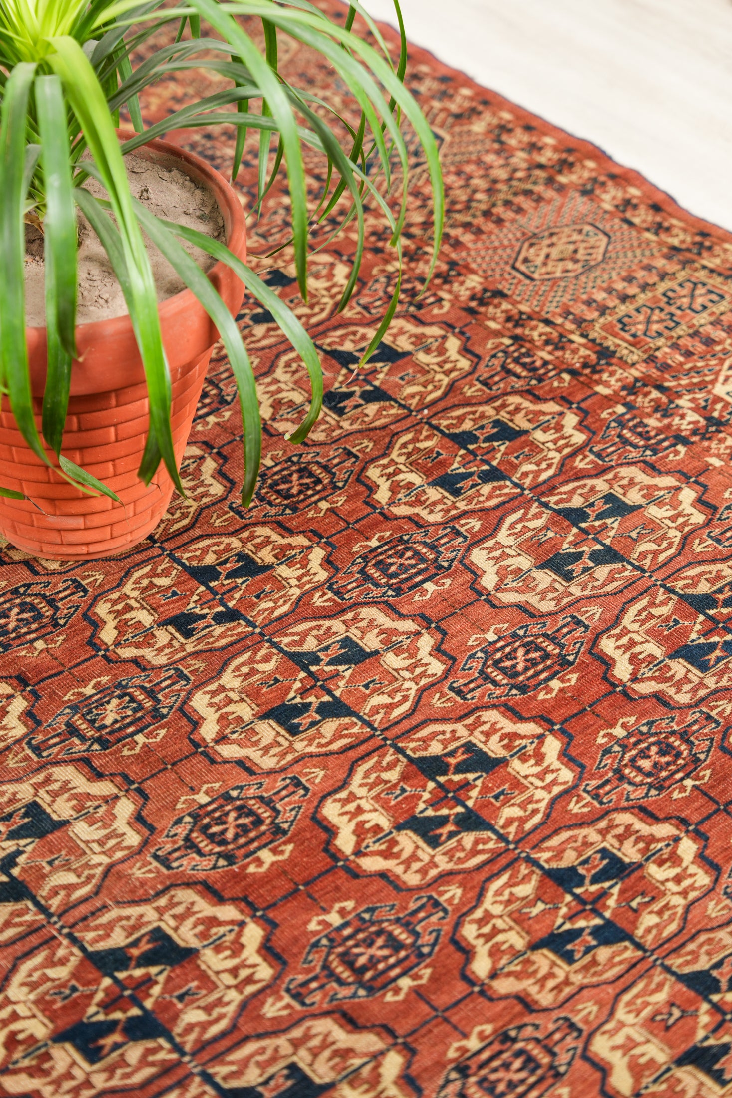 Antique Turkmen Bokhara Rug 10'6" x 7'7"