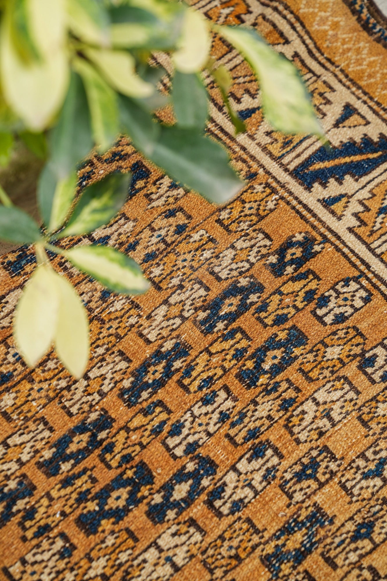 Antique Caucasian Shrivan Rug 4' x 2'7"