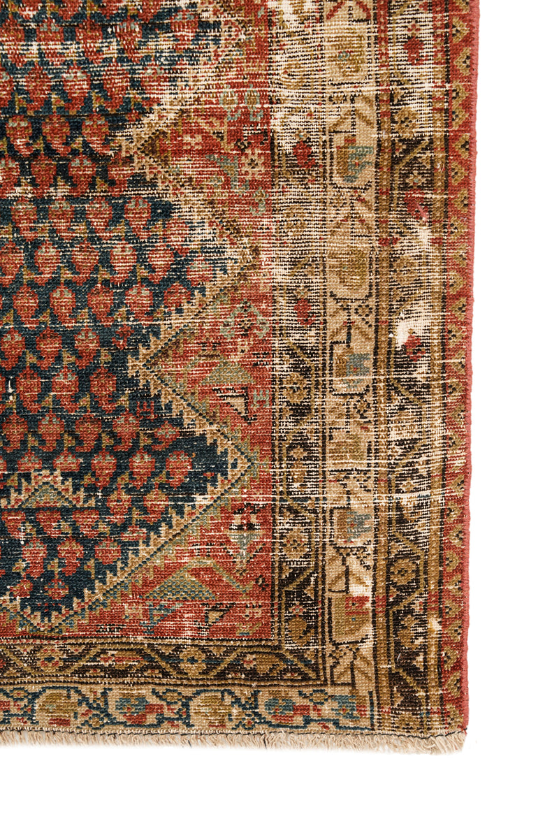 BOSTAN 6' X 3'10"