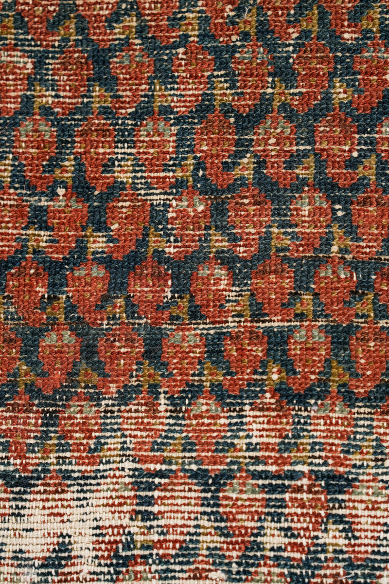 BOSTAN 6' X 3'10"