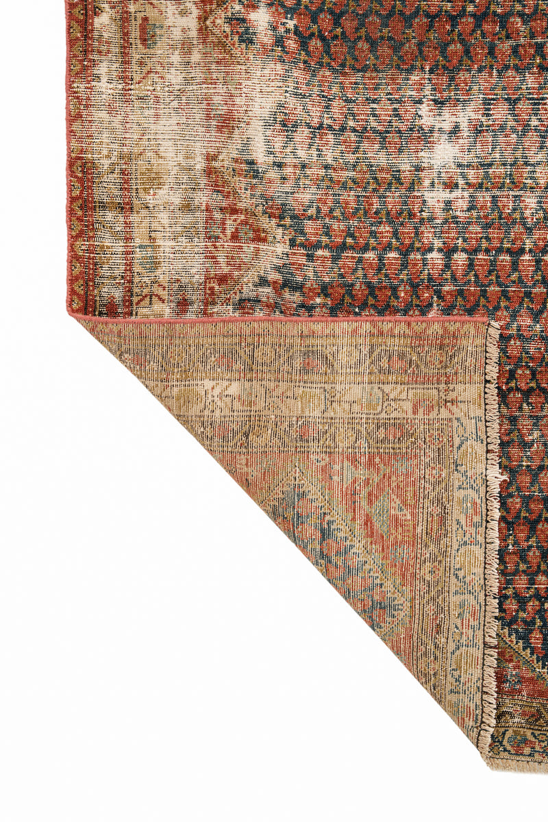 BOSTAN 6' X 3'10"