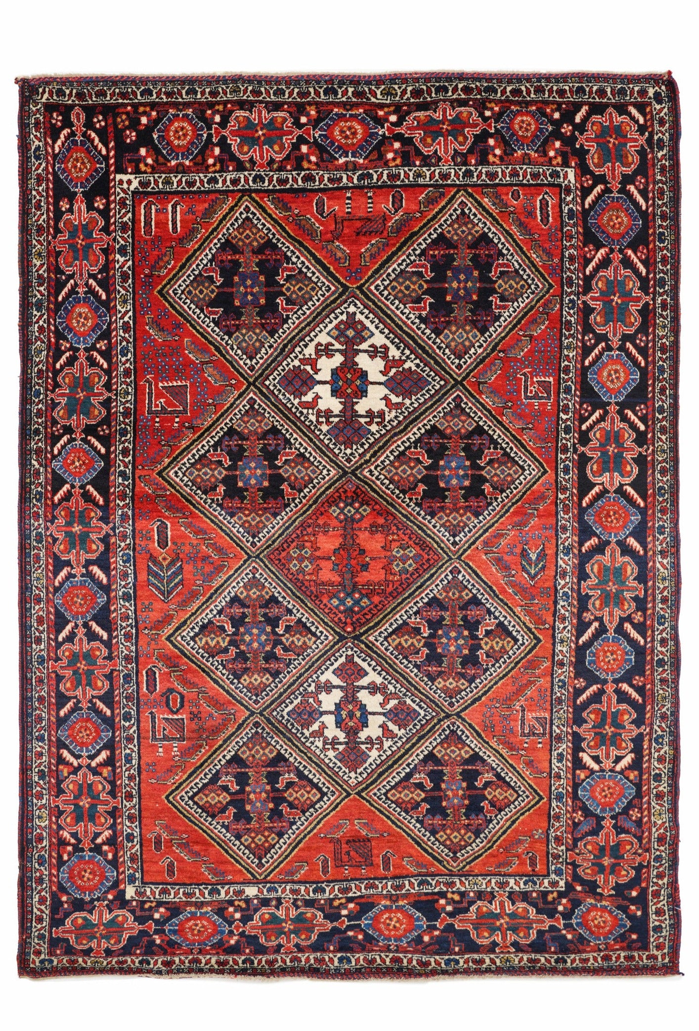 Splendidis 5'9" x 4'1"