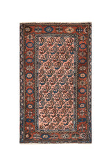 TANSY 4'8" X 3'
