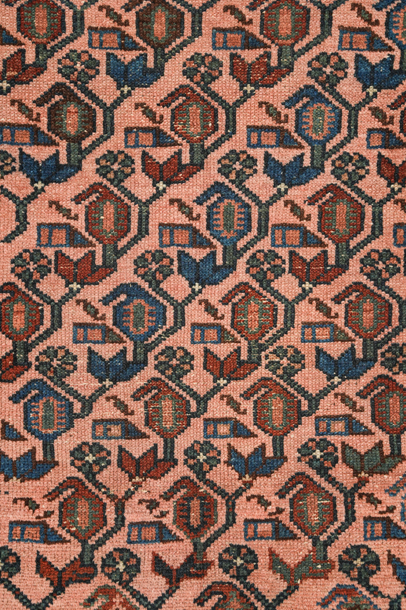 TANSY 4'8" X 3'