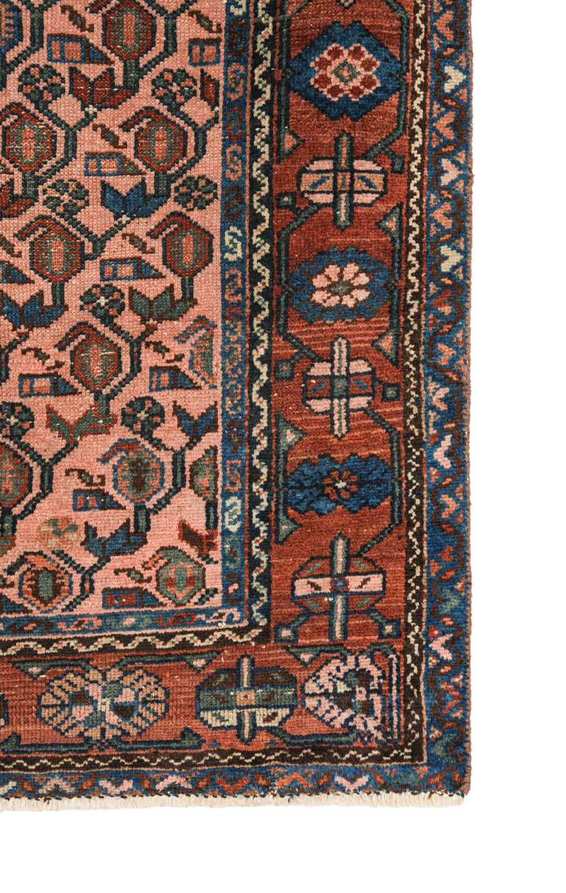 TANSY 4'8" X 3'