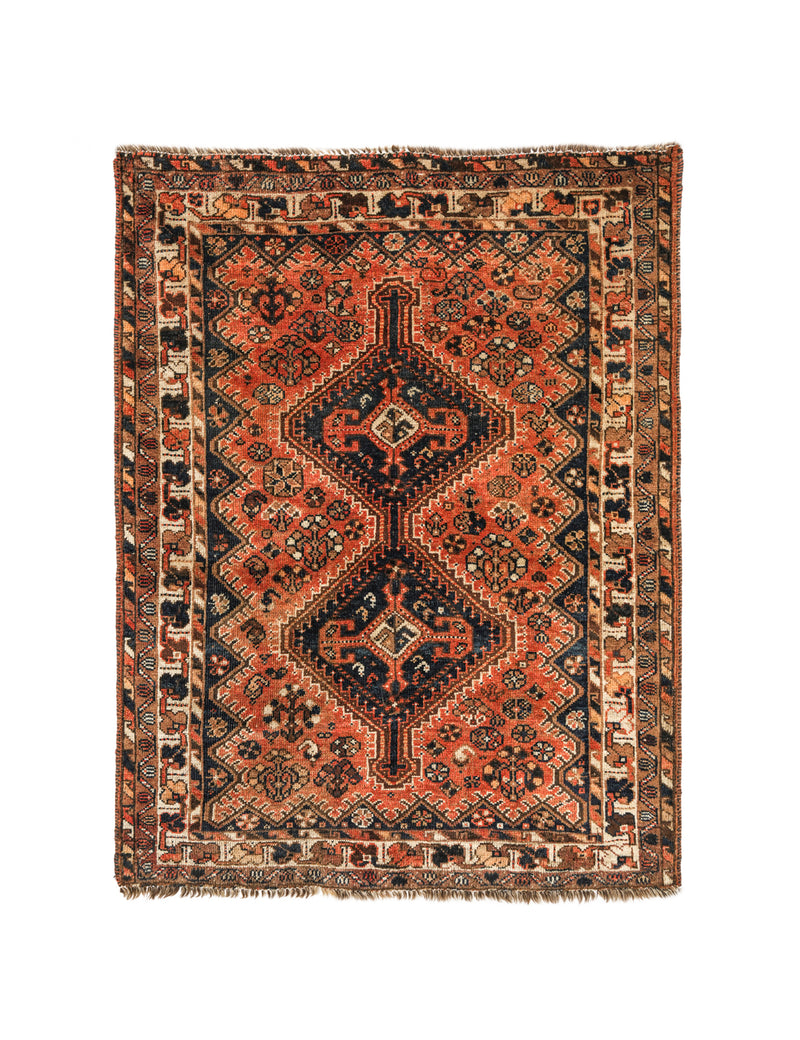 Alanze 4'10" X 3'9"