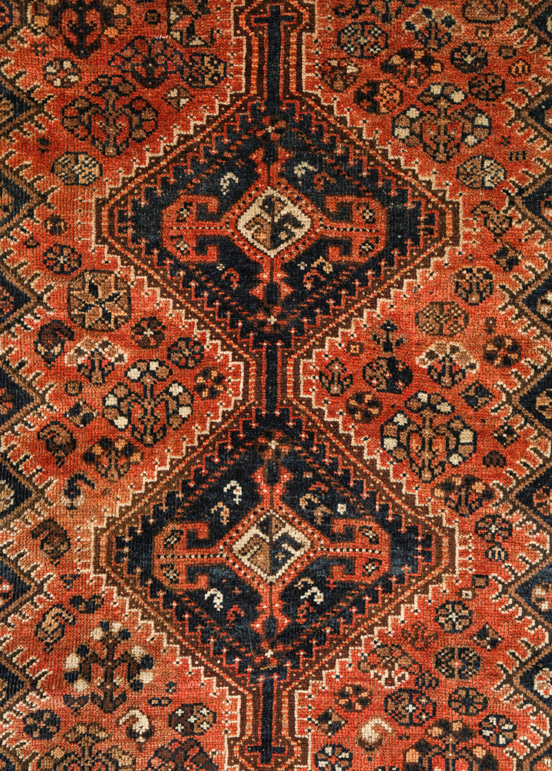 Alanze 4'10" X 3'9"