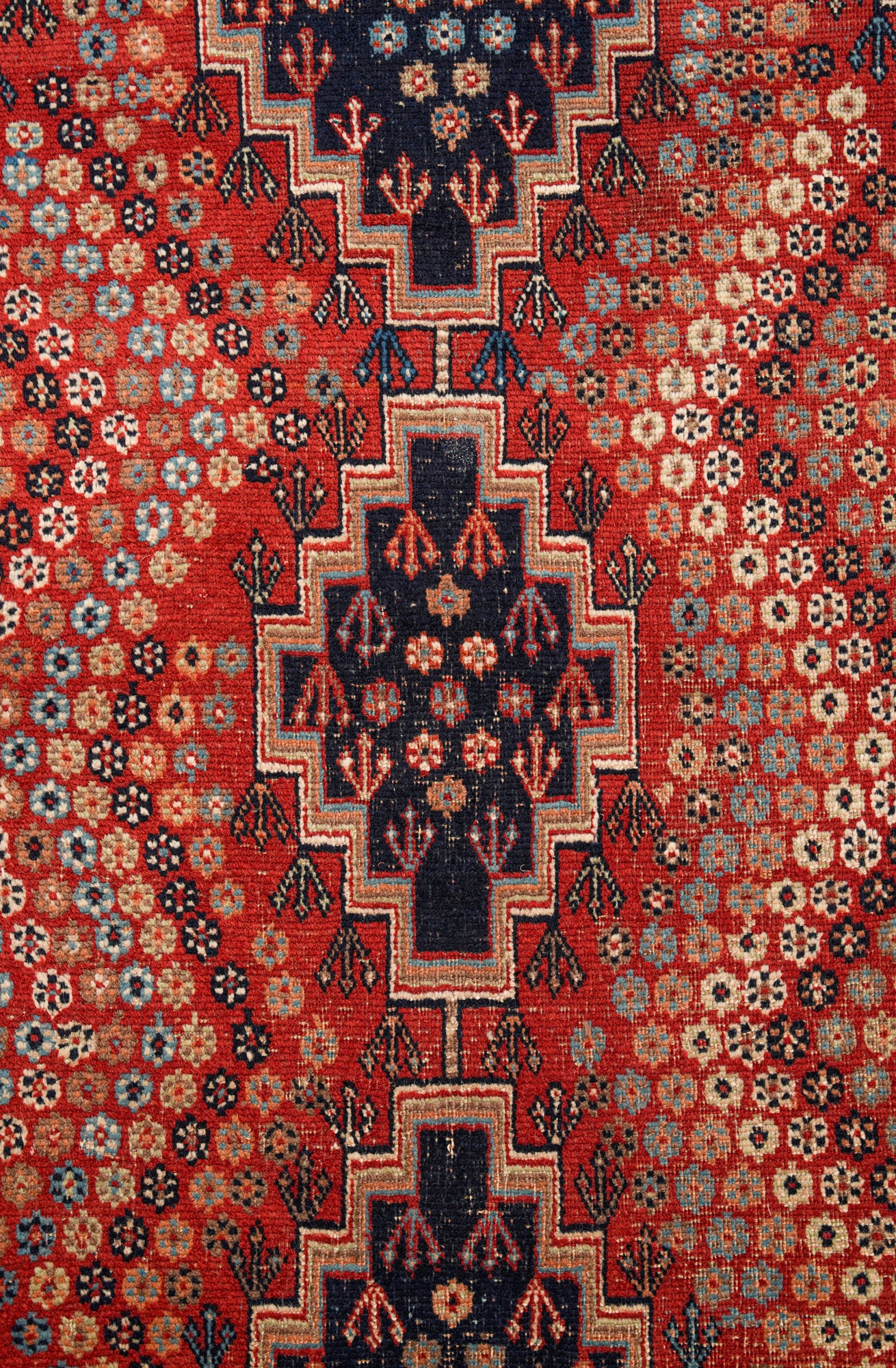 VHAGAR 8' X 5'1"