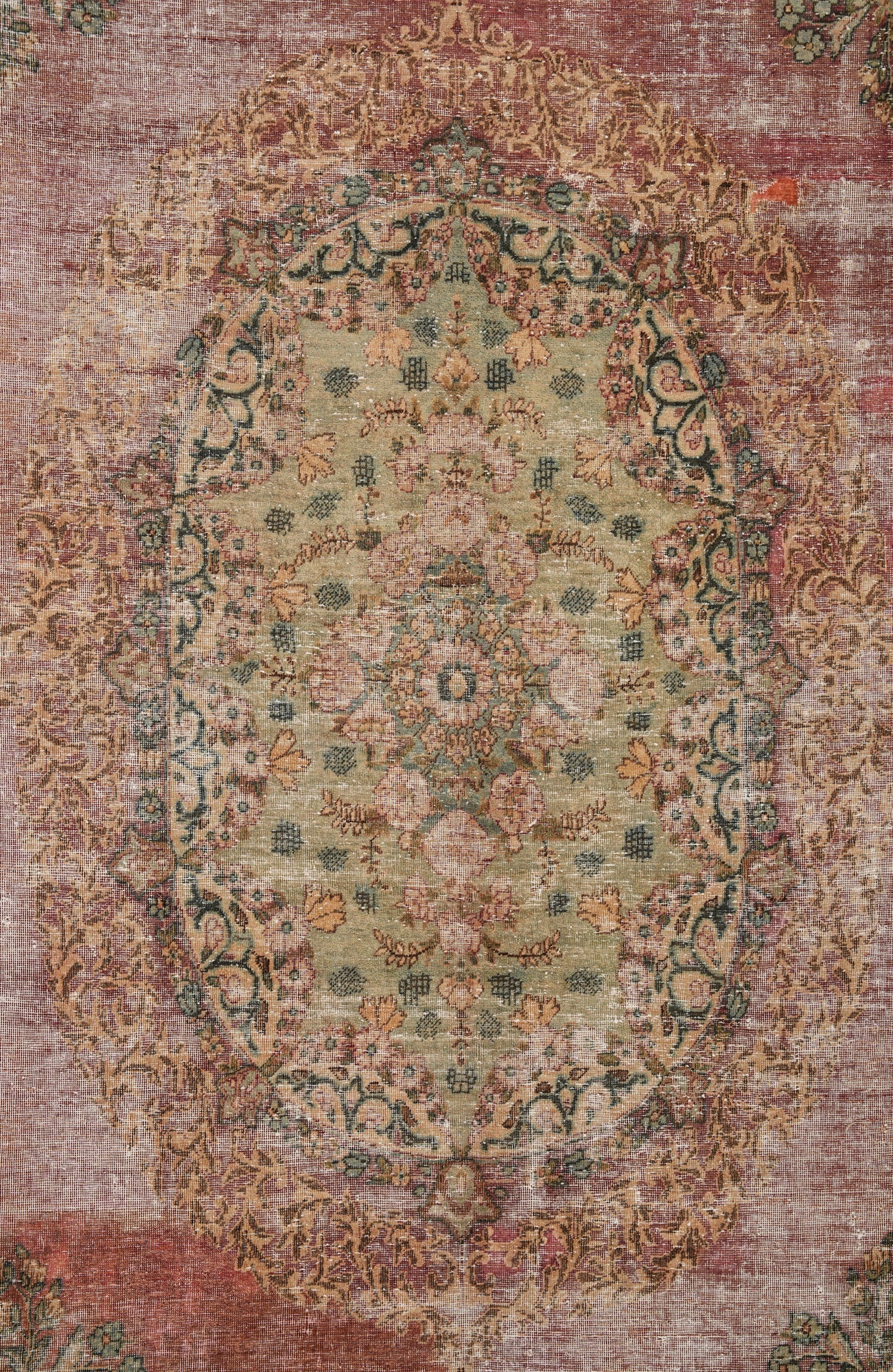 Sam 14' x 10'