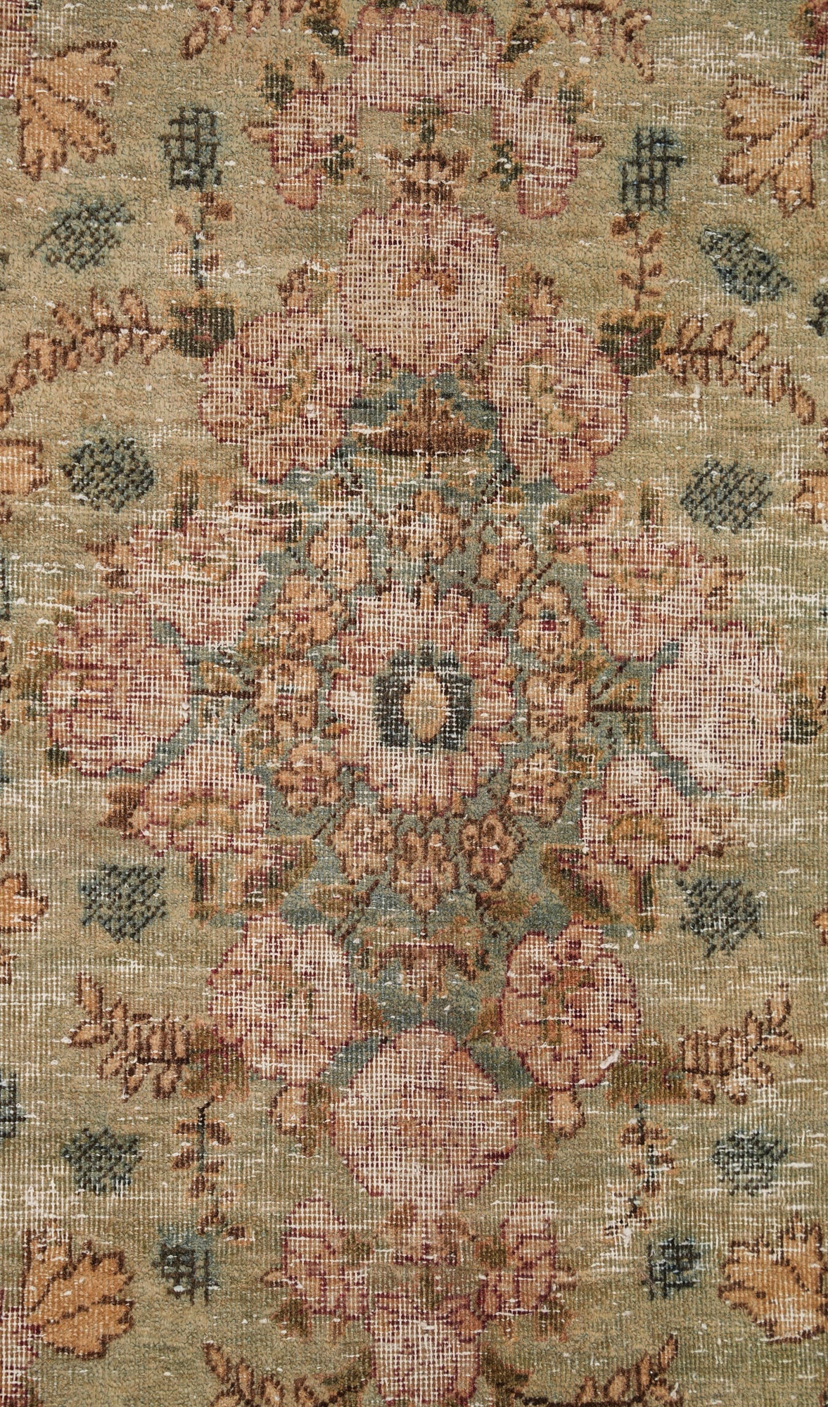 Sam 14' x 10'