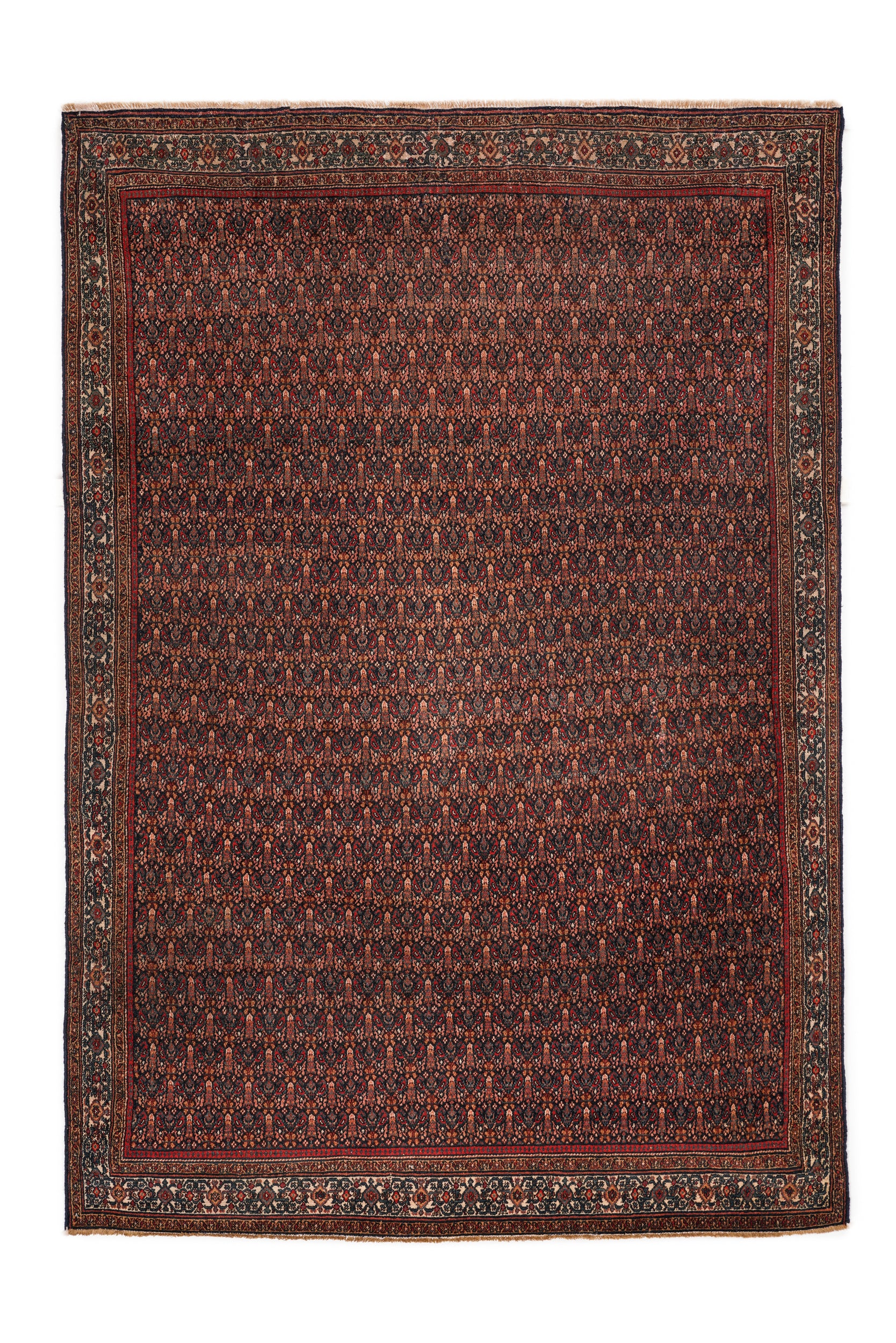 Preciosa 6'5" x 4'5"