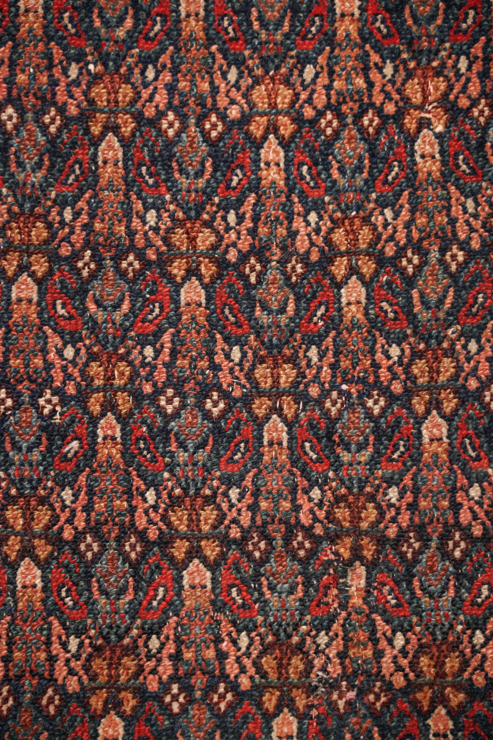 Preciosa 6'5" x 4'5"