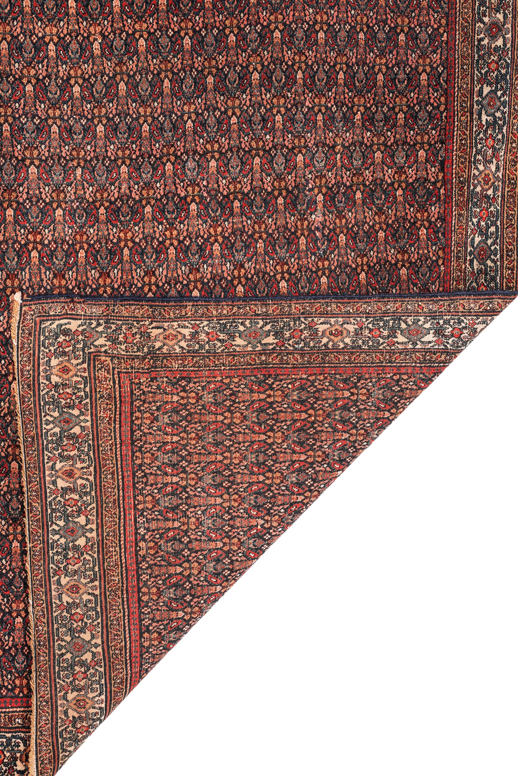 Preciosa 6'5" x 4'5"