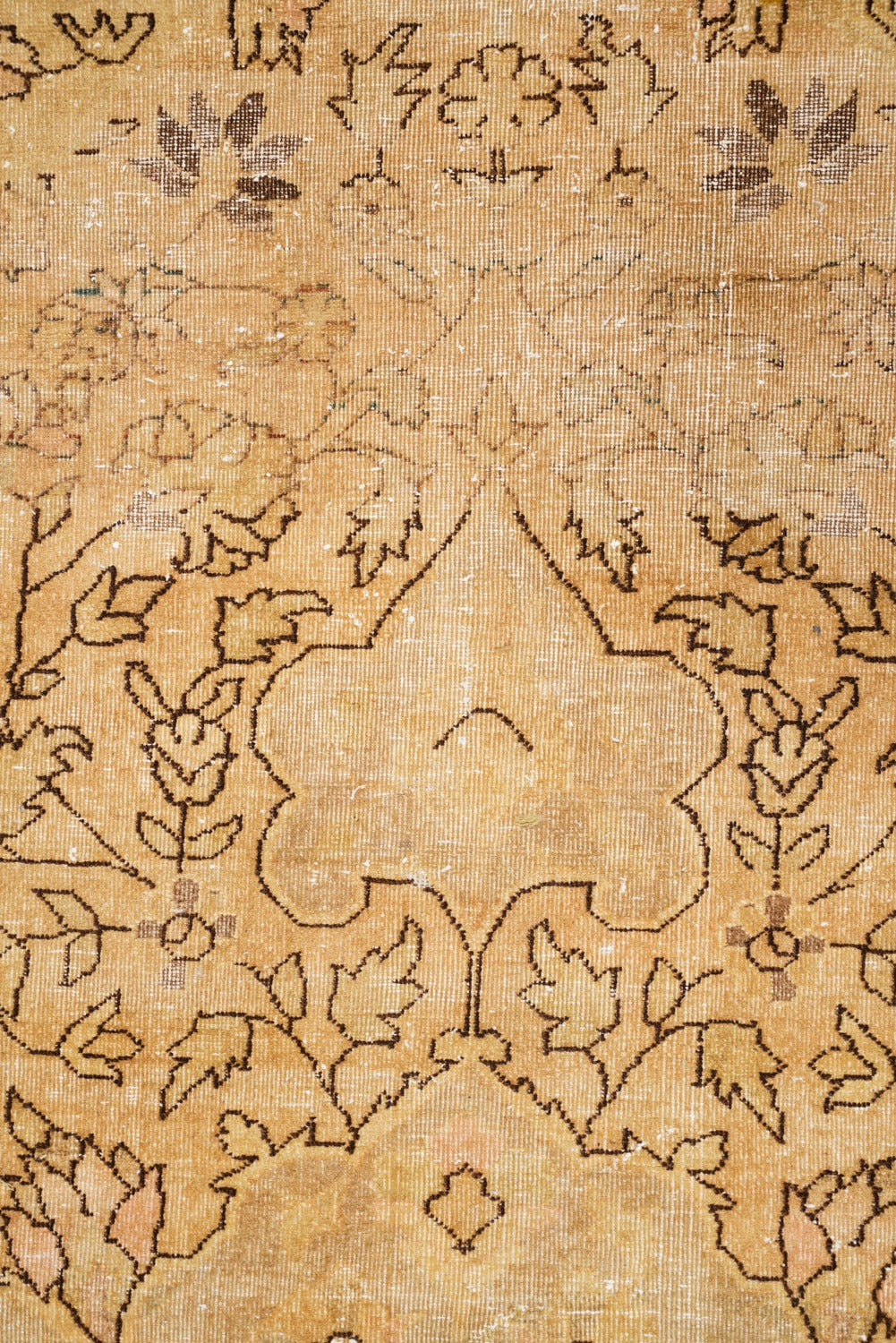 Pallida 11'10" x 9'